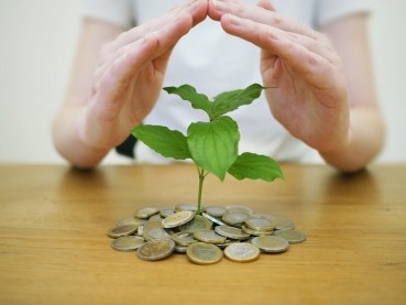 Mains qui protègent un tas de pièces de monnaie et une jeune pousse